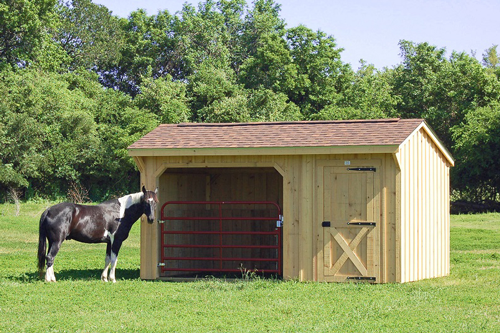 Keeping Your Horse Cool In The Summer