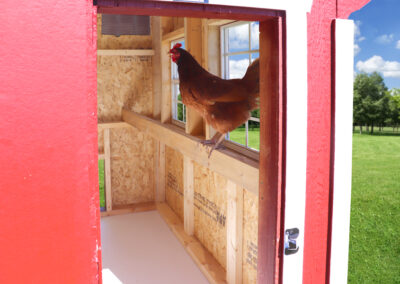 Farm+Yard-4x6-Plymouth-Chicken-Coop-3