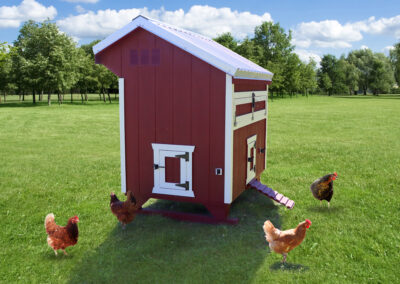 Farm+Yard-4x6-Plymouth-Chicken-Coop-4