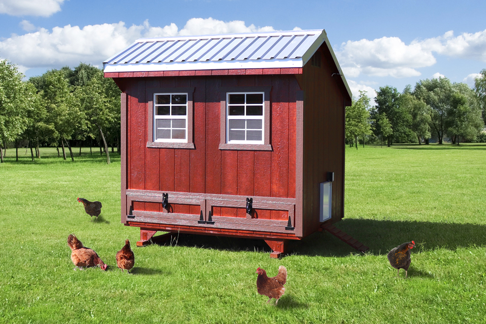 Farm+Yard-6x8-Plymouth-Chicken-Coop-3
