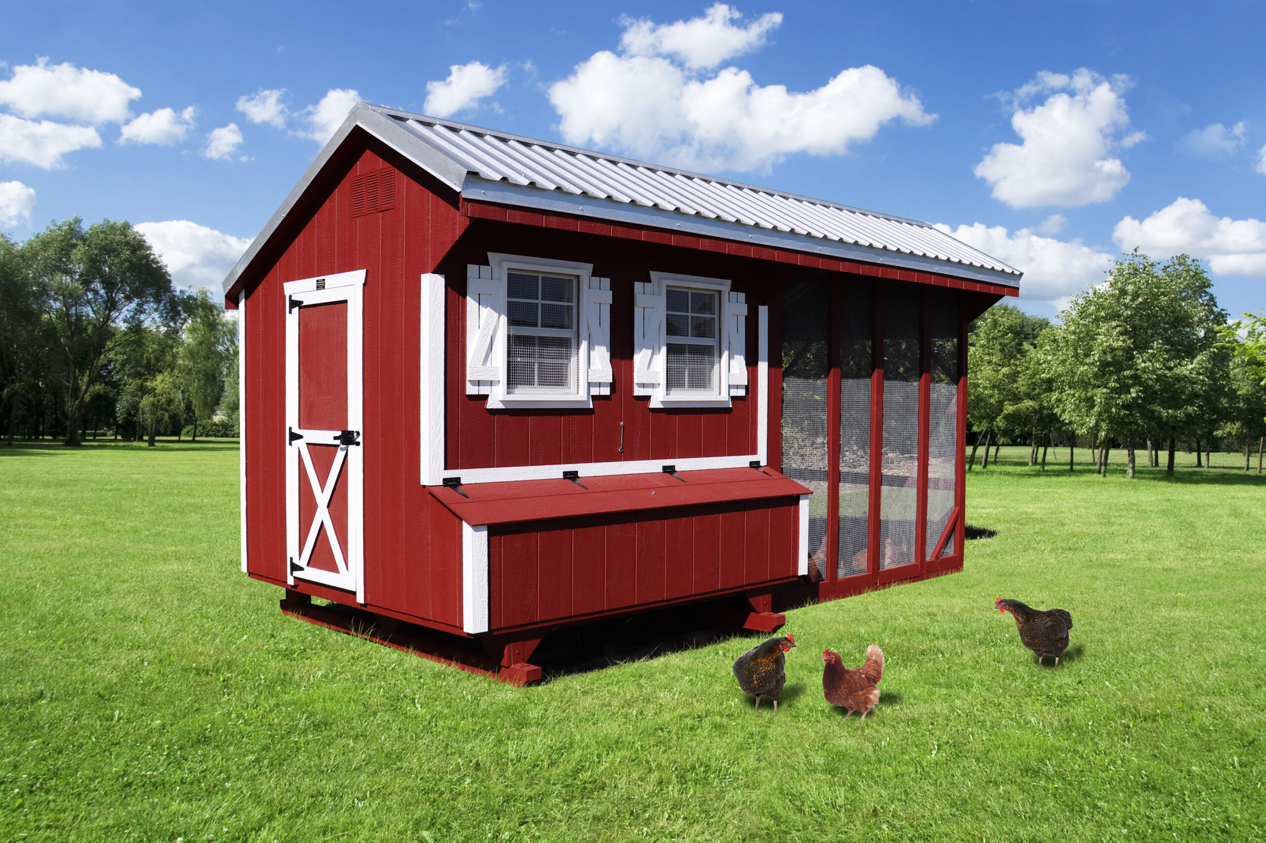 how-to-keep-chickens-happy-and-healthy-farm-yard