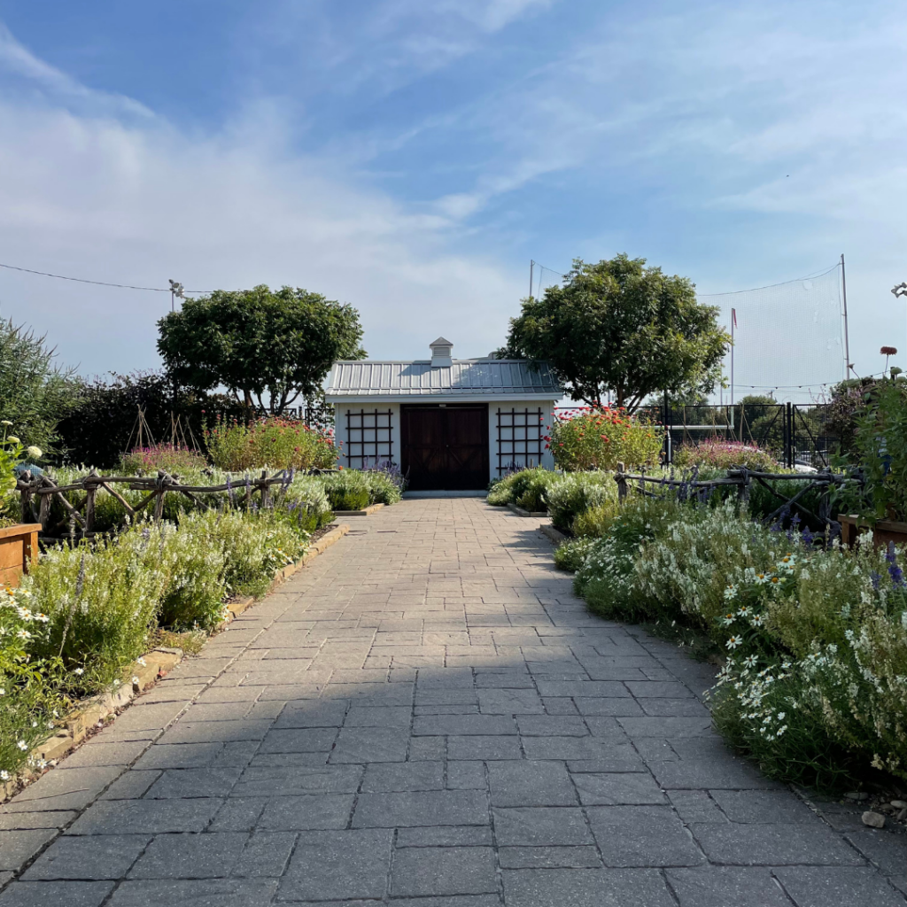 Farm + Yard Shed at Magnolia