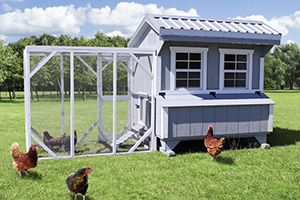 farm-and-yard-explore-products-chicken-coops