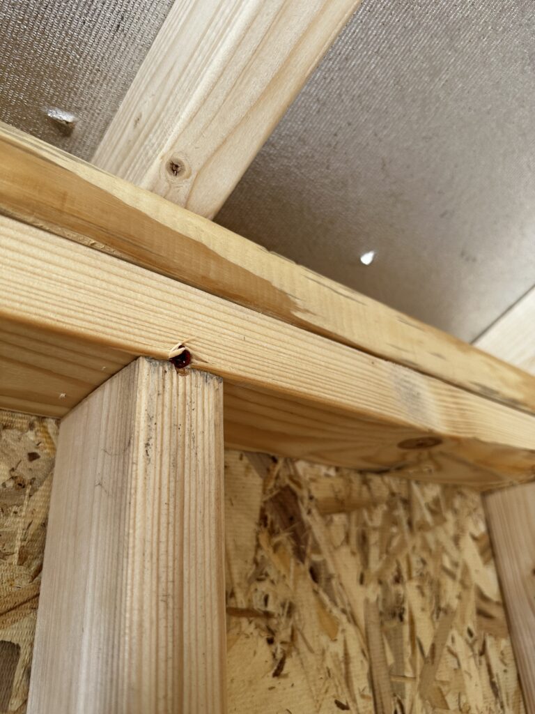 hurricane screws installed on every rafter inside the 12x24 garage 